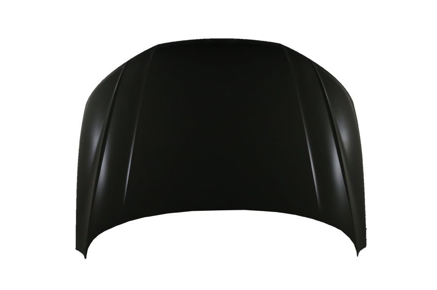 1230 | 2018-2021 AUDI SQ5 Hood panel assy Aluminum | AU1230132|80A823029STL