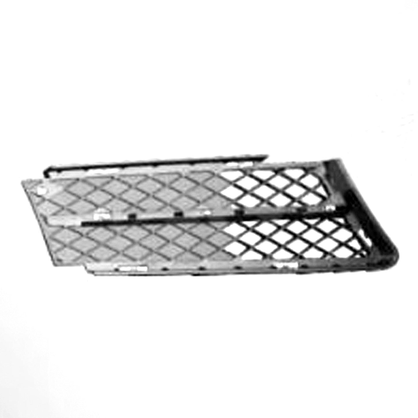 1039 | 2006-2008 BMW 328i RT Front bumper insert outer grille | BM1039105|51117134082