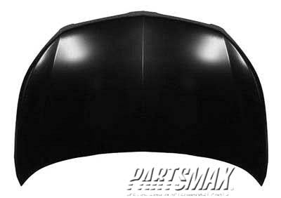 1230 | 2009-2010 PONTIAC VIBE Hood panel assy | GM1230384|19183898