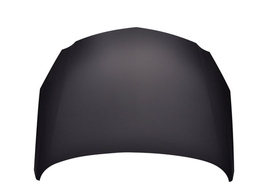 1230 | 2011-2011 BUICK REGAL Hood panel assy Steel | GM1230400|20989165-PFM