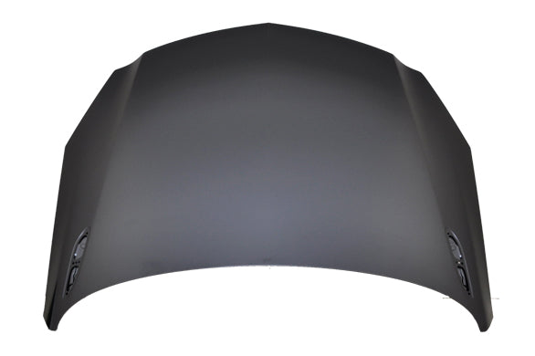 1230 | 2012-2014 BUICK REGAL Hood panel assy all; Steel | GM1230409|20989166-PFM