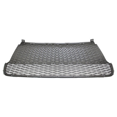 500 | 2014-2017 LEXUS CT200h Front bumper grille w/F Sport Pkg; w/o Special Edition Pkg | LX1036122|5311276120