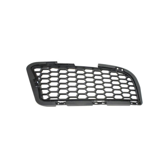 520 | 2013-2014 BMW M5 LT Front bumper insert F10; Outer Grille | BM1038143|51118047393