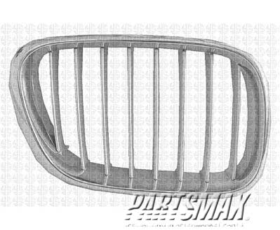860 | 2000-2003 BMW X5 Grille assy bright & titanium ABS plastic; right side | BM1200155|51138250052