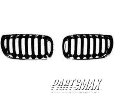 1200 | 2004-2006 BMW X3 Grille assy RH; To 9-06; Chrome | BM1200169|51133414904