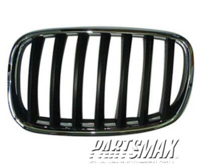 1200 | 2007-2010 BMW X5 Grille assy E70; 3.0si; LH | BM1200180|51137157687