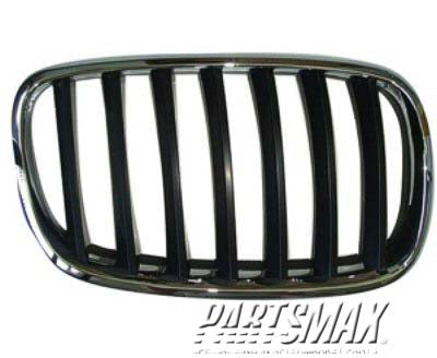 1200 | 2007-2010 BMW X5 Grille assy E70; 3.0si; RH | BM1200181|51137157688