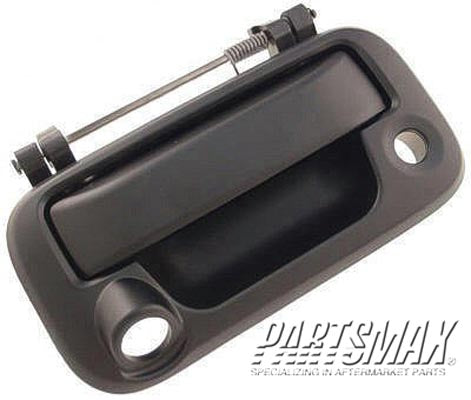 2050 | 2008-2008 FORD F-150 Rear gate handle w/Rear View Camera; PTM | FO1915124|8L3Z9943400BBPTM