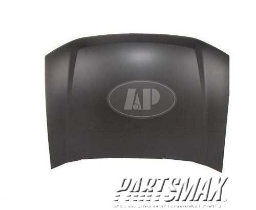 10 | 2002-2009 CHEVROLET TRAILBLAZER Hood panel assy all | GM1230264|12478013
