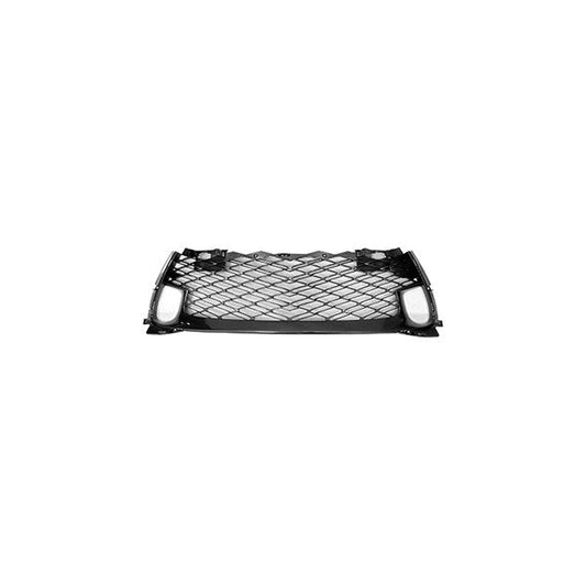 1200 | 2018-2019 LEXUS GS300 Grille assy w/F Sport Pkg; Lower | LX1200195|5311330902