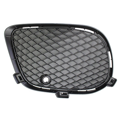 1038 | 2017-2019 MERCEDES-BENZ GLE43 AMG LT Front bumper insert C292; Coupe; Outer Grille | MB1038186|292885532228
