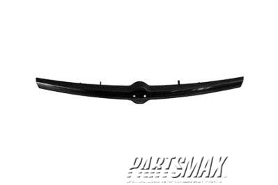 570 | 2000-2001 NISSAN ALTIMA Front bumper molding matte black ABS | NI1044105|NI1044105