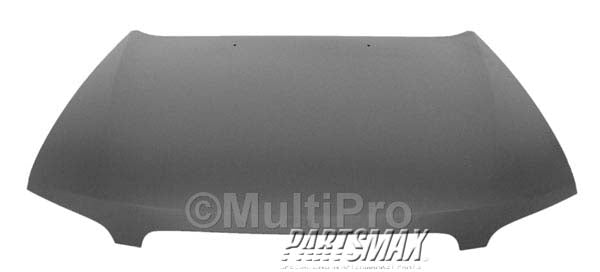 1230 | 1998-2001 NISSAN ALTIMA Hood panel assy all | NI1230151|F51009E030