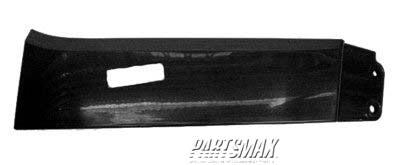 1089 | 2008-2017 TOYOTA SEQUOIA RT Front bumper filler LIMITED|PLATINUM; w/Headlamp Washer | TO1089116|539310C902