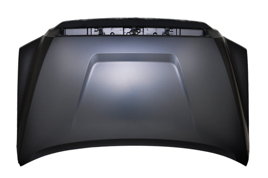 1230 | 2014-2021 TOYOTA TUNDRA Hood panel assy | TO1230233|533010C050